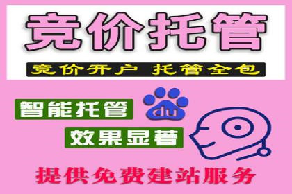 案例剖析：网络推广竞价优化